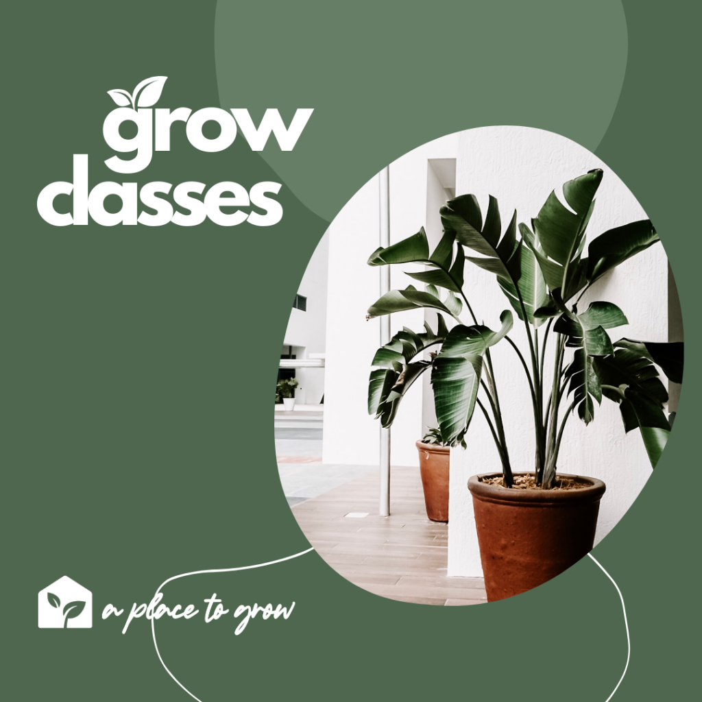 Grow Classes