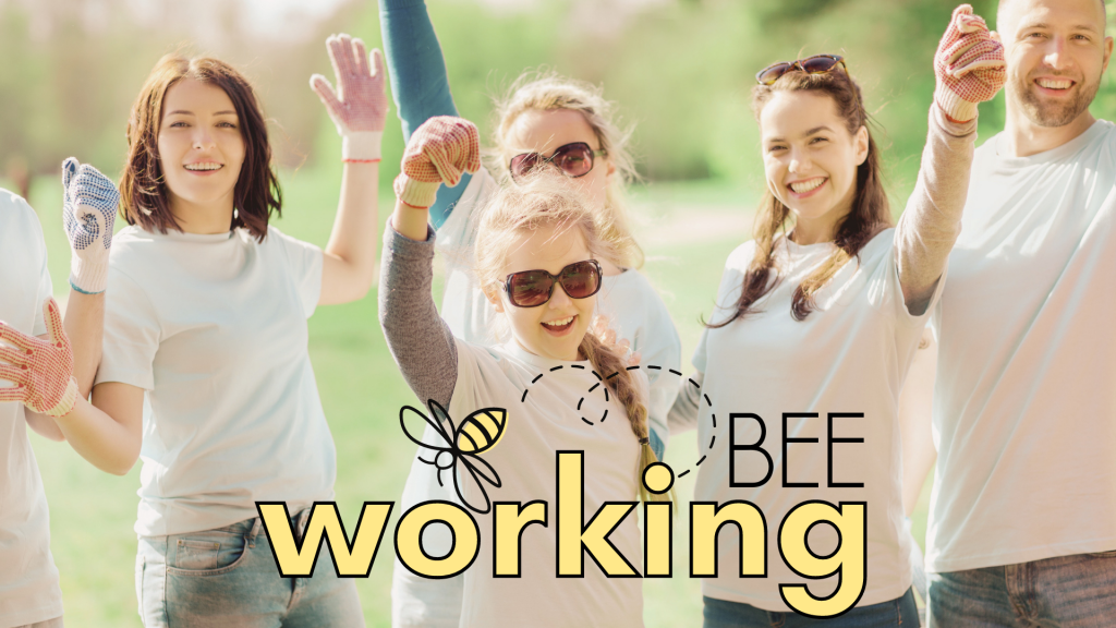 Working Bee Help Working Bee - The Orchard Church , Te Puke